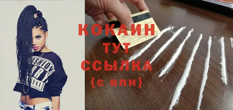 Cocaine Fish Scale  OMG как зайти  Пыталово 