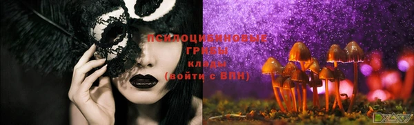 стафф Нязепетровск