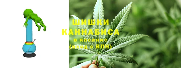 крисы Арсеньев