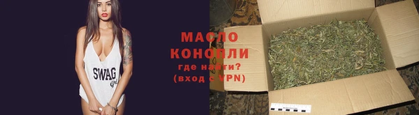 прущие грибы Няндома