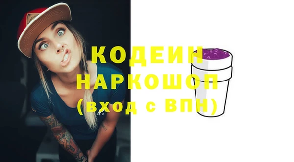 прущие грибы Няндома