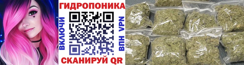 mega сайт  магазин  наркотиков  Пыталово  Канабис семена 